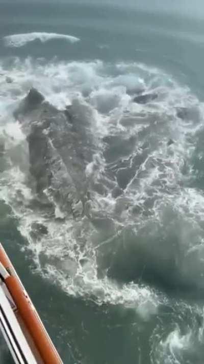 The Norwegian Sun cruise ship hitting an iceberg near Hubbard Glacier