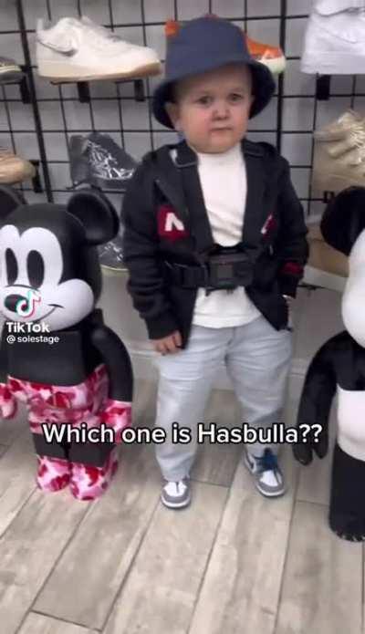 Which one is Hasbulla?