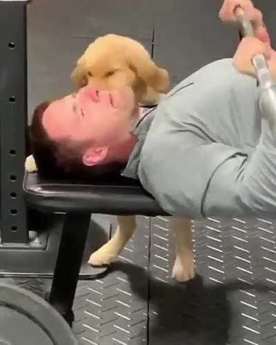 Bothering dad while working out