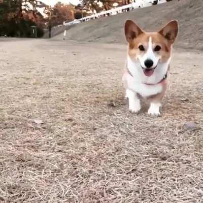 Little legs can't contain his happiness