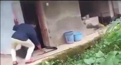 To catch a snake.