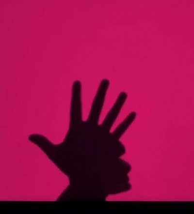 This hand shadow music video.