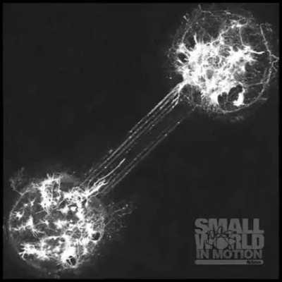 Two nerve cells forming connection