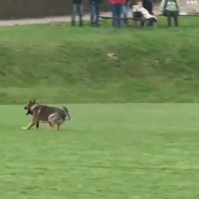 The control this man has over his dog