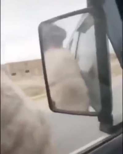 Road rage with a karen trying to destroy mirror.