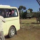 WCGW if I poke my head out for the safari video