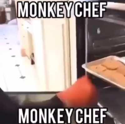 Monkey chef