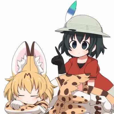 Kaban Pokes Sleepy Serval Cat