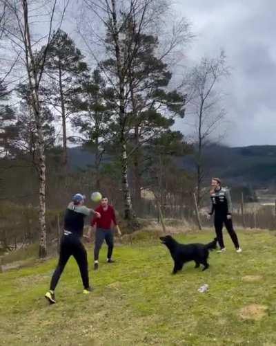 This Pup playing Volleyball.