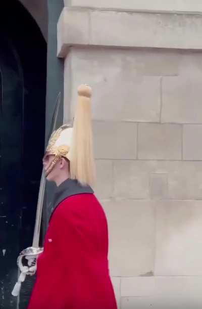 Mom forces kid next to King’s Guard for a photo, surrounded by signs saying the horses bite, then complains to the police