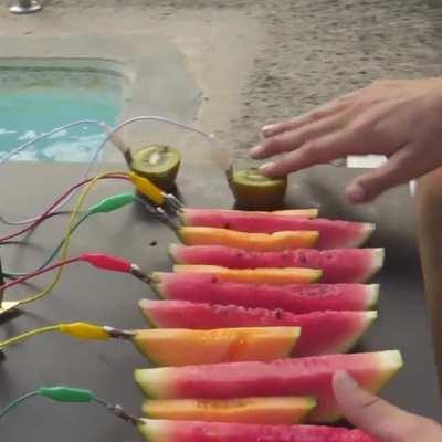 Making Music with Watermelon....Incredible fruit BeatS!!