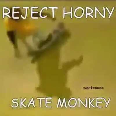 Skate monke