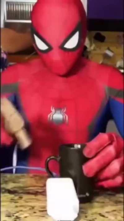 Spiderman vs Mug