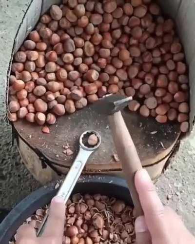 the fastest way to crack nuts