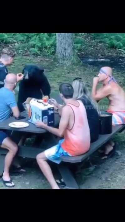 Group of people hanging out with a black bear (Canada)