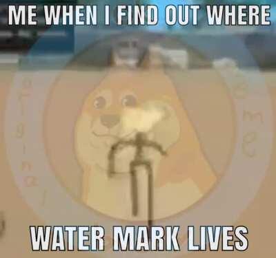 WHO THE FR*CK IS OH HI WATER MARK?!?