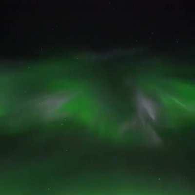 Such a beauty! Northern lights in real time