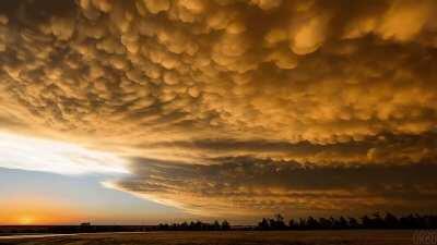 The colour and shape of these clouds in the evening sunlight