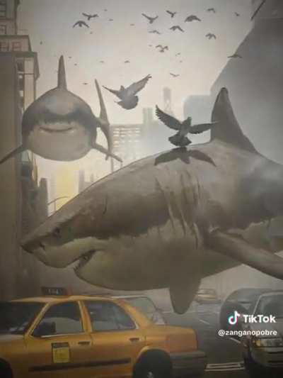 En Bolivia los ataques de tiburones ocurren como Sharknado 🥺🥺