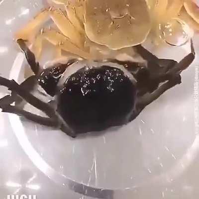 🔥 Crab shedding its old shell for a shinier new one