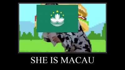 🇲🇴🇲🇴🇲🇴🇲🇴🇲🇴