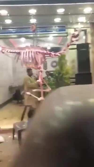 Cursed_Dinosaur