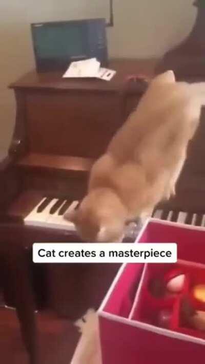 Dayyammm... It's cat's got talent now I guess