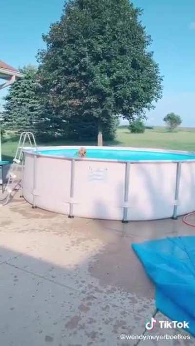 That jump was glorious. He just hovered into that pool.