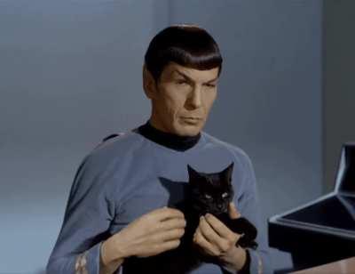 Just Spock petting a cat