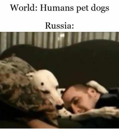 In Russia, Dog Pets You