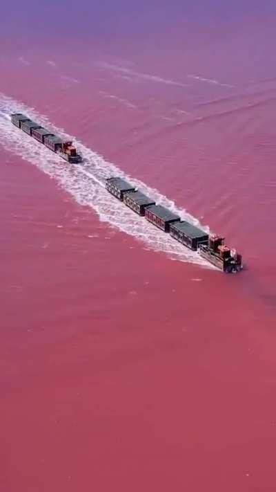 This is Lake Burlinskoye, a pink lake in Siberia and a train runs through it.... satisfying