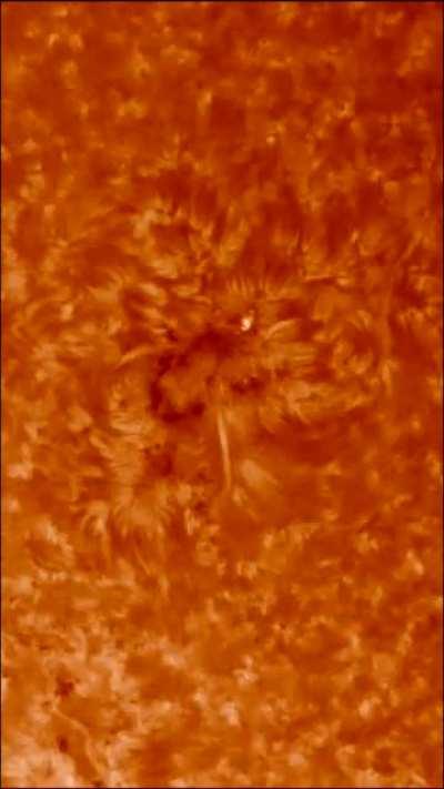 Our Sun's AR2829 Captured June 5th 2021 Using Quark Chromosphere