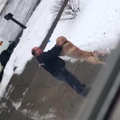 He waits all day for his best friend mailman