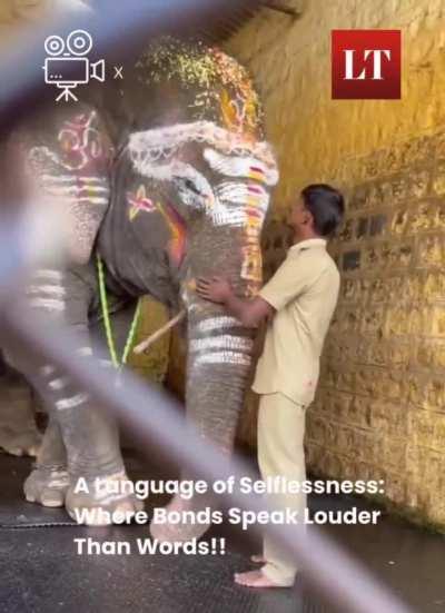 Zyada kuch nahi, just an elephant tenderly pulling his caretaker close 