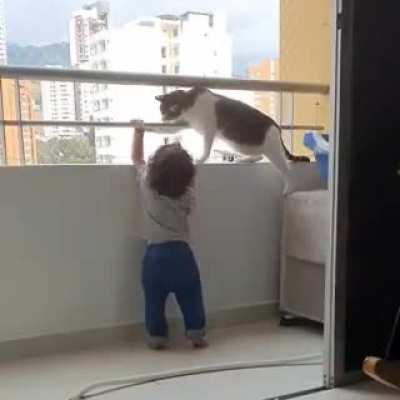 Protective cat prevents tiny human from falling to his doom