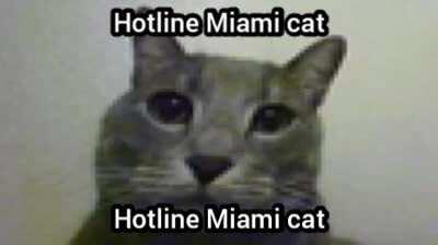 Hotline Miami cat (Hydrogen version)