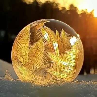 🔥 Winter Dragon Ball