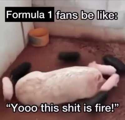 formula 1 goes hard frfr