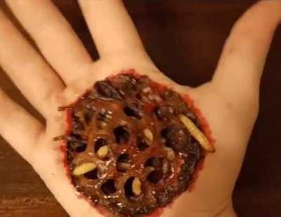 SFX with wax worms for extra creep factor