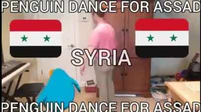 Penguin dance for assad