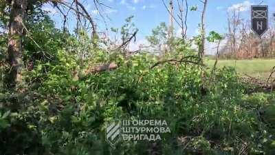 Pov of ukrianain soldiers shotting russian soldiers at close range in dense vegetation 