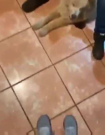 Wait for it