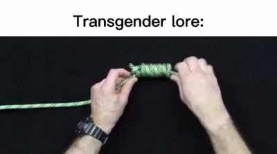 trans lore 🤔