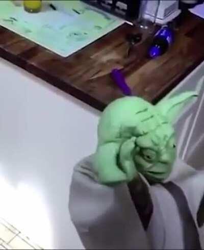 mr. yoda :/