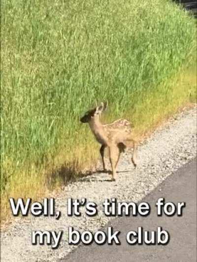 Oh Deer