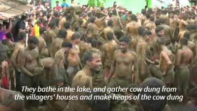 Cow Poop Festival in India