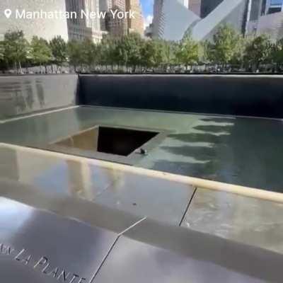 Man jumps into the pool of the 9/11 memorial