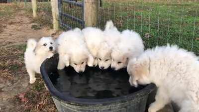 Small clouds know the importance of staying hydrated!