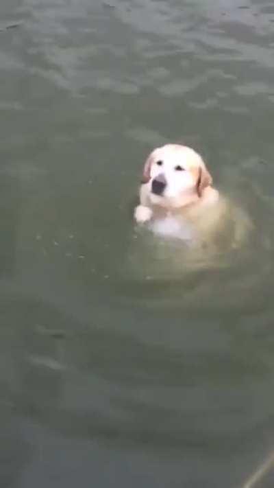 The goodest buoy