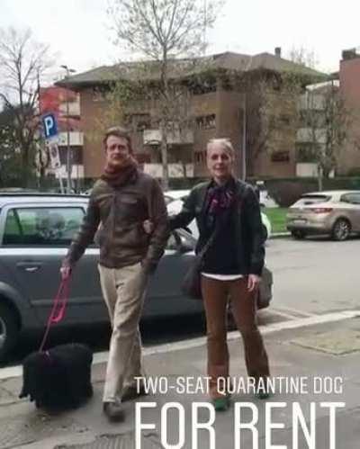 Two seat quarantine dog for rent